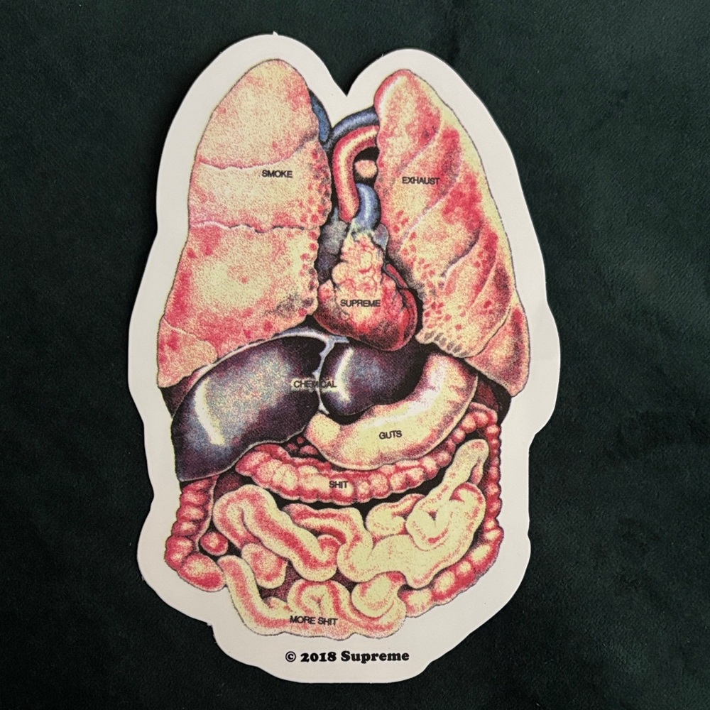 Supreme Anatomical Organs Sticker